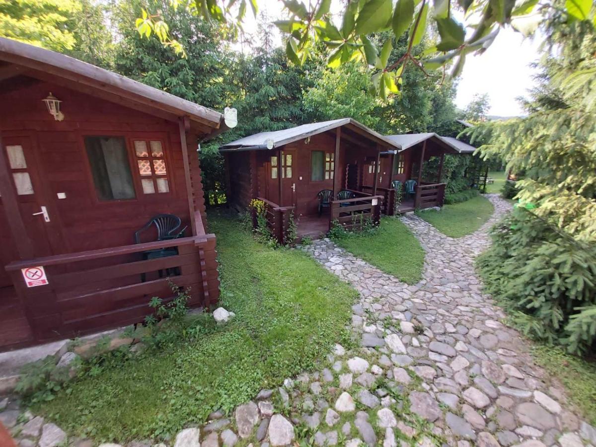 Campsite Edelweiss - Floare De Colt - Gyopar *