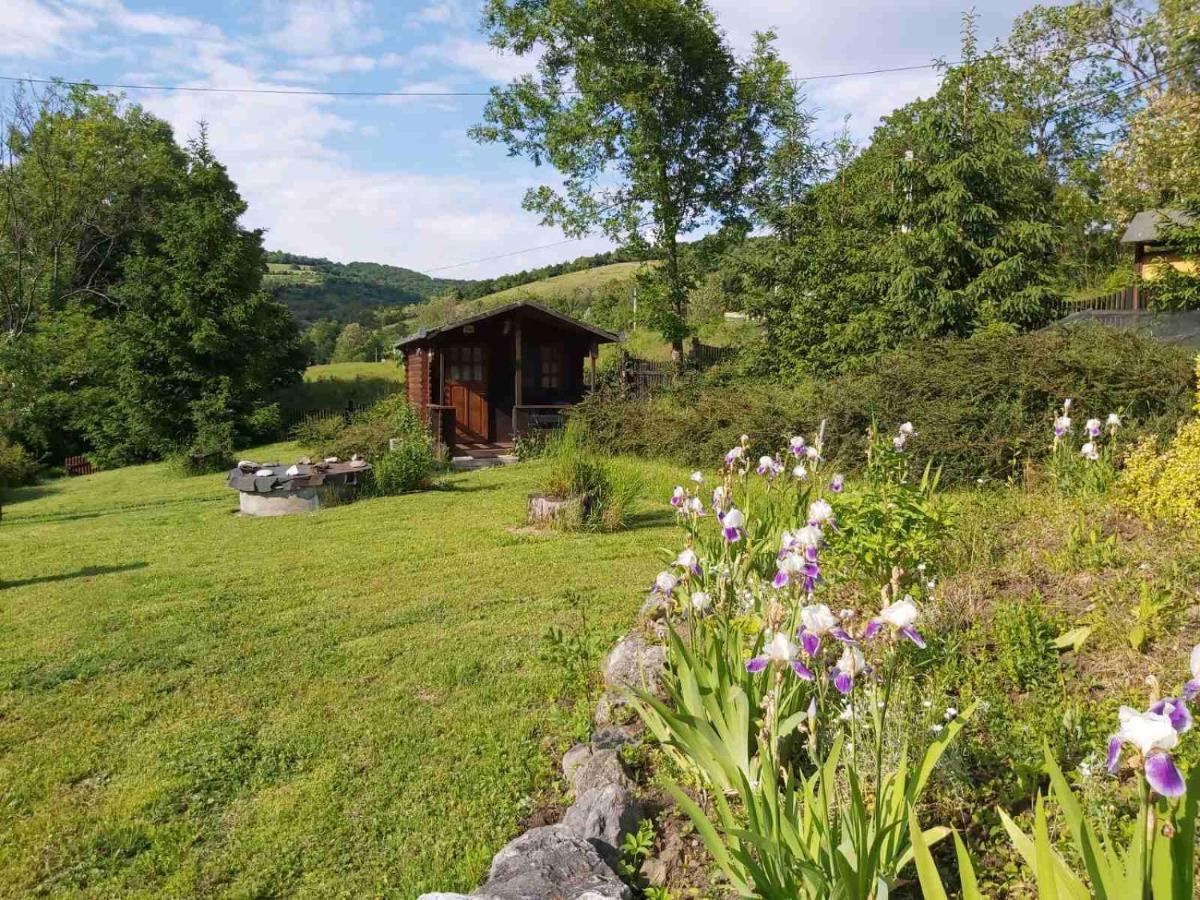 Edelweiss - Floare De Colt - Gyopar Rimetea