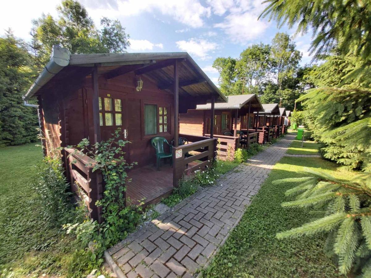 Campsite Edelweiss - Floare De Colt - Gyopar