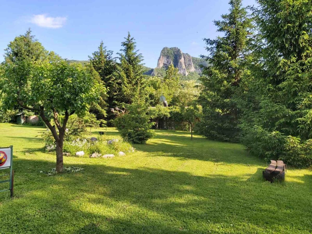 Campsite Edelweiss - Floare De Colt - Gyopar