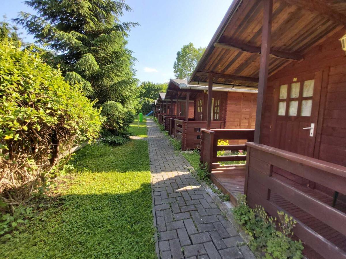 Edelweiss - Floare De Colt - Gyopar Campsite *