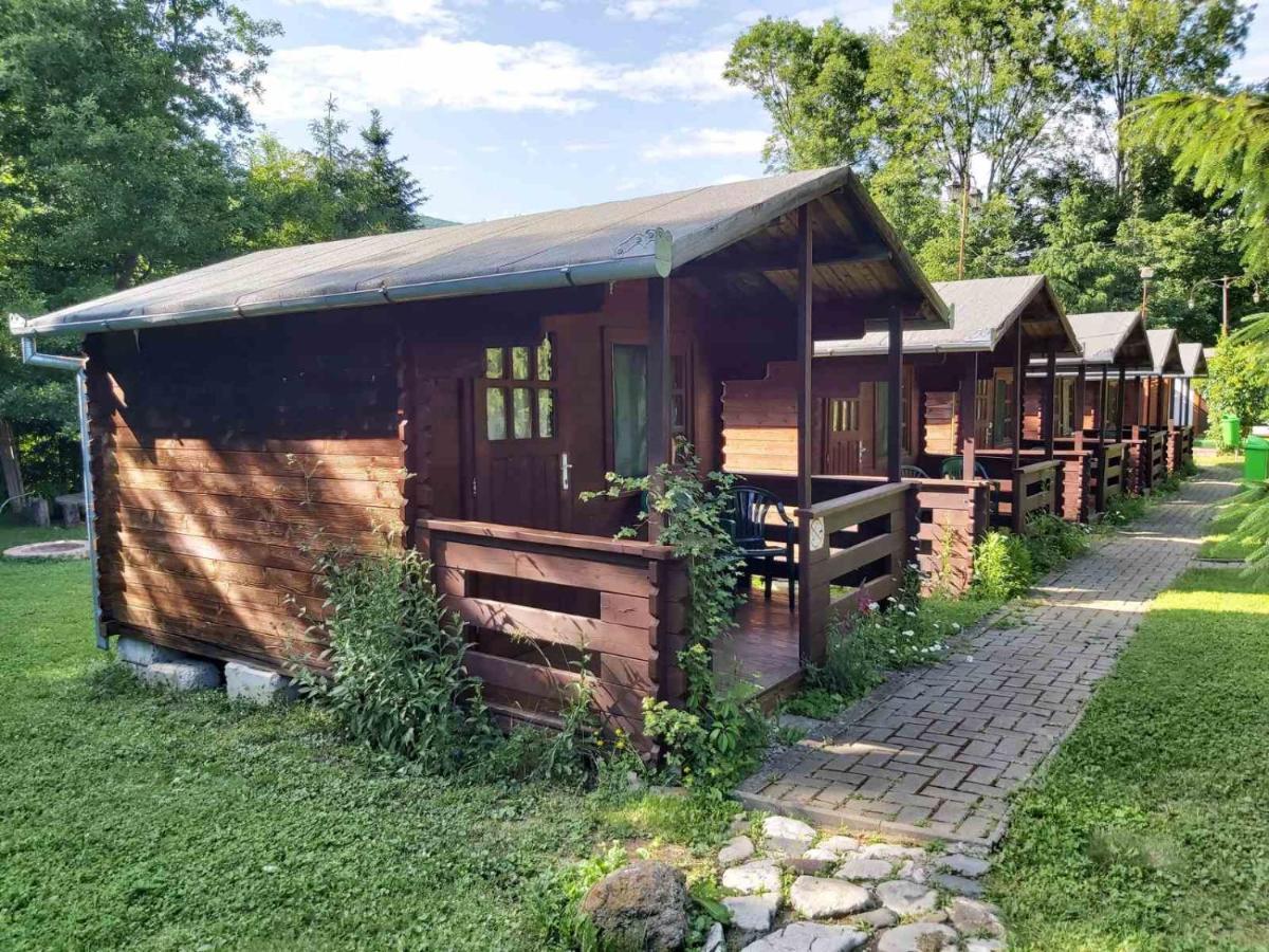 Edelweiss - Floare De Colt - Gyopar Campsite *