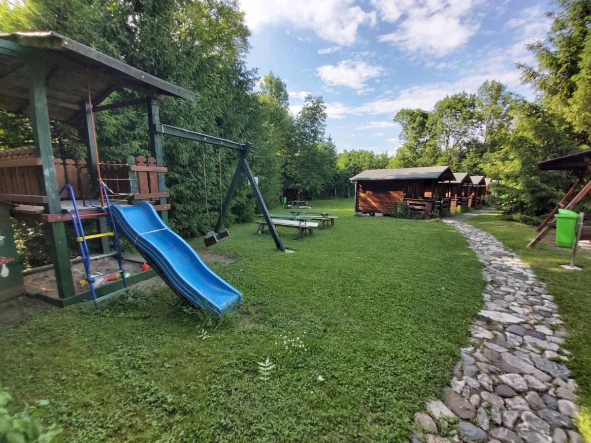 Edelweiss - Floare De Colt - Gyopar Campsite