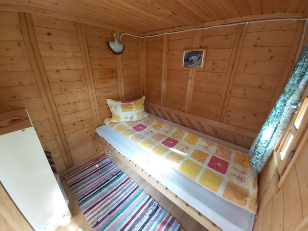 Edelweiss - Floare De Colt - Gyopar Campsite Rimetea
