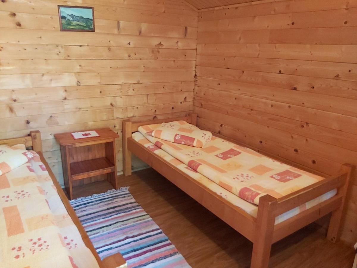 Edelweiss - Floare De Colt - Gyopar Campsite