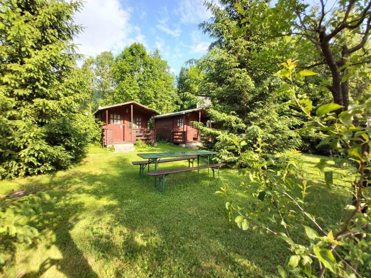 Edelweiss - Floare De Colt - Gyopar Campsite *