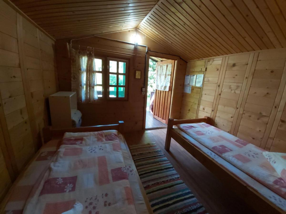 Edelweiss - Floare De Colt - Gyopar Campsite Rimetea